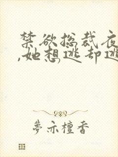 禁欲总裁夜夜缠,她想逃却逃不掉祁砚峥全