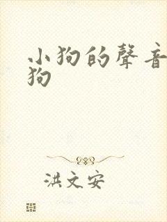小狗的声音吸引狗