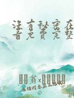 没有秘密在线观看免费完整版韩剧