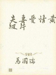 夫妻爱情黄色一级片