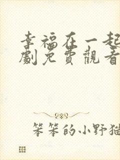 幸福在一起电视剧免费观看