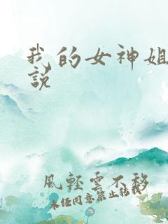 我的女神姐姐小说