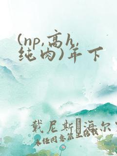 (np,高h,纯肉)年下