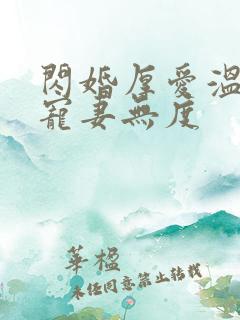 闪婚厚爱温先生宠妻无度