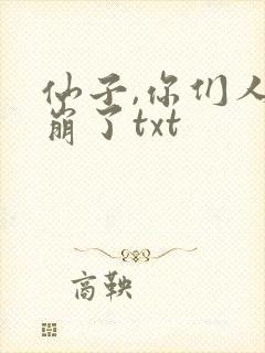 仙子,你们人设崩了txt