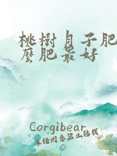 桃树月子肥施什么肥最好