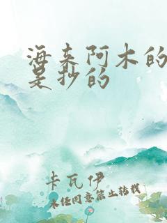 海来阿木的歌全是抄的
