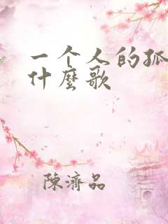 一个人的孤独是什么歌
