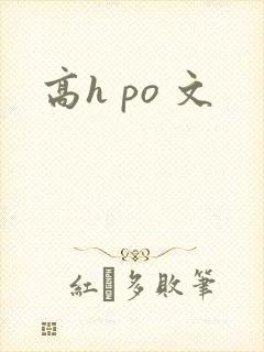 高h po 文