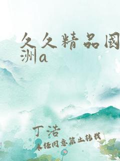久久精品国产亚洲a
