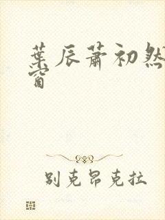 叶辰萧初然无弹窗