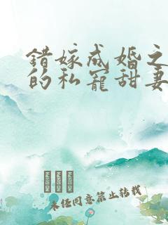 错嫁成婚之总裁的私宠甜妻在线阅读