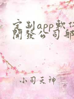 定制app软件开发公司那家好