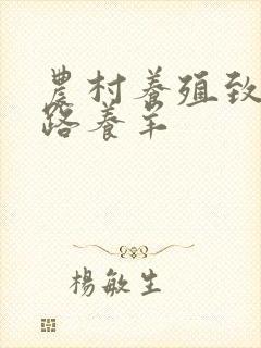 农村养殖致富门路养羊