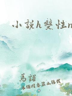 小说h双性np