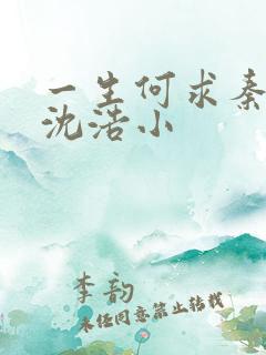 一生何求秦菲雪沈浩小