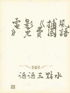 电影《捕风追影》免费国语播放