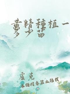 黄精种植一亩地多少苗