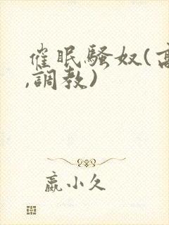 催眠骚奴(高h,调教)