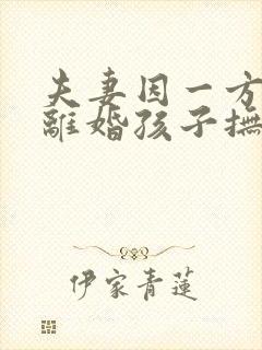 夫妻因一方出轨离婚孩子抚养权怎么判定