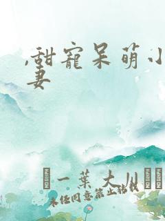,甜宠呆萌小娇妻