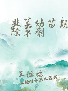 韭菜幼苗期专用除草剂