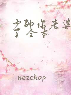 少帅你老婆又跑了 全本