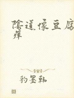 阴道像豆腐渣还痒