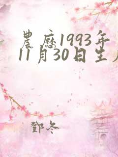 农历1993年11月30日生辰八字
