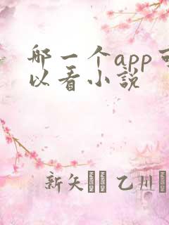 哪一个app可以看小说
