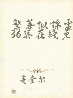 繁华似锦电视剧36集在线免费观看