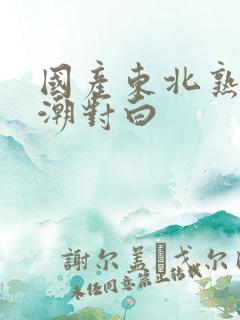 国产东北熟女高潮对白