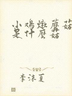 小鸡炖蘑菇用的是什么菇