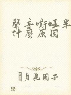 声音嘶哑半年是什么原因