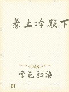 惹上冷殿下