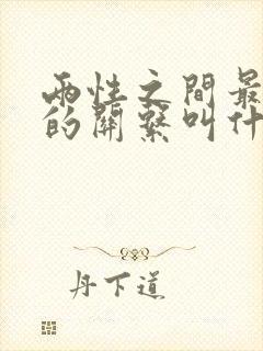 两性之间最长久的关系叫什么