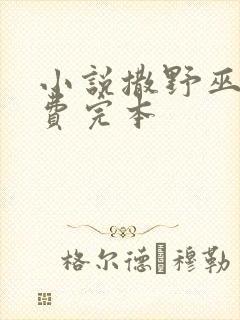 小说撒野巫哲免费完本