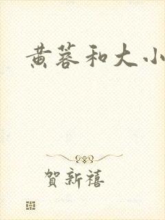 黄蓉和大小武