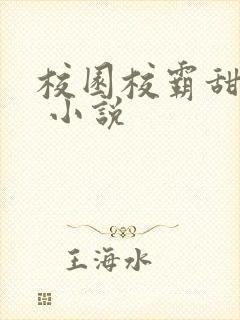 校园校霸甜宠文 小说
