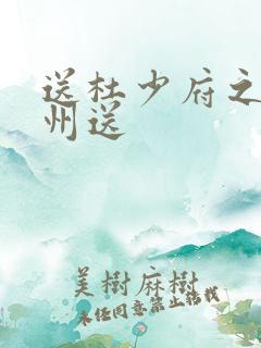 送杜少府之任蜀州送