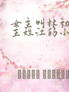 女主叫林初夏男主姓江的小说