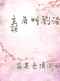 主角叫刘浩的小说