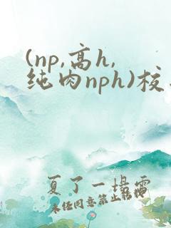 (np,高h,纯肉nph)校园