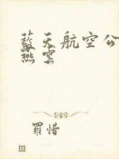 蓝天航空公司 燕云
