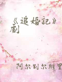 《追婚记》电视剧