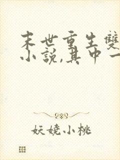 末世重生双男主小说,其中一个男主是丧尸王