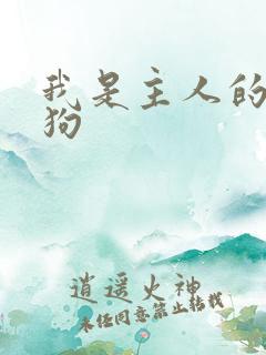 我是主人的小母狗