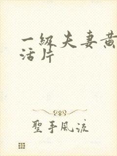 一级夫妻黄色生活片