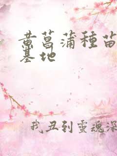 黄菖蒲种苗种植基地