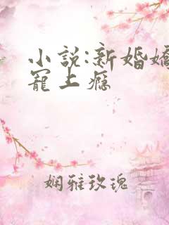 小说:新婚娇妻宠上瘾